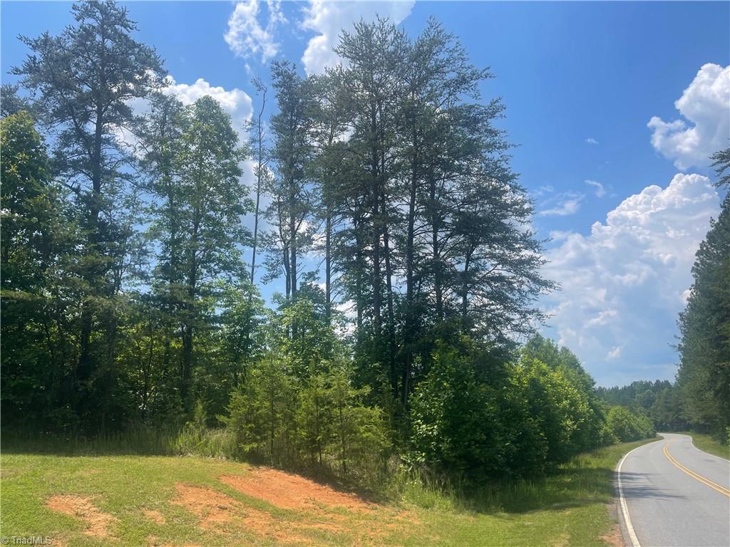 0 Bethesda Church Road Madison, NC 27025 - Photo 18 of 19