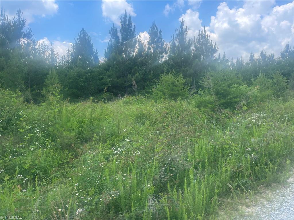 0 Bethesda Church Road Madison, NC 27025 - Photo 5 of 19