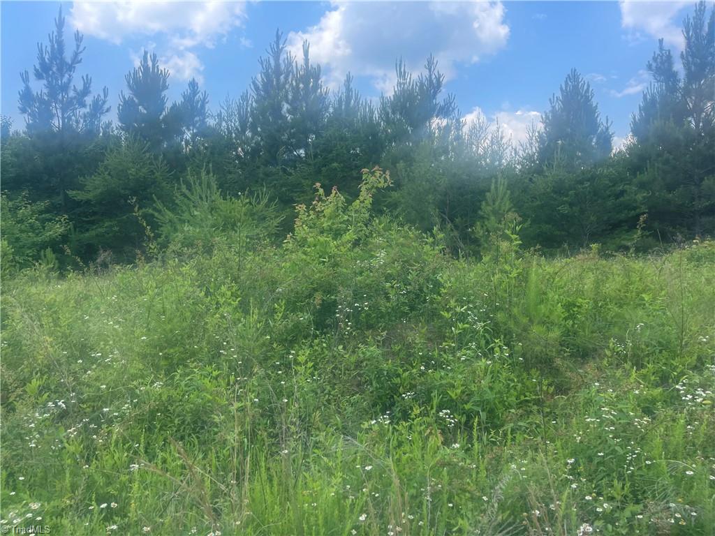 0 Bethesda Church Road Madison, NC 27025 - Photo 6 of 19