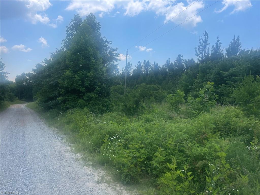 0 Bethesda Church Road Madison, NC 27025 - Photo 7 of 19