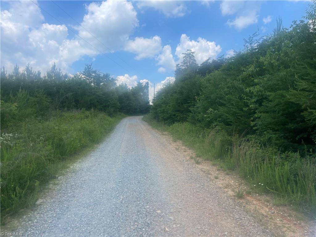 0 Bethesda Church Road Madison, NC 27025 - Photo 8 of 19