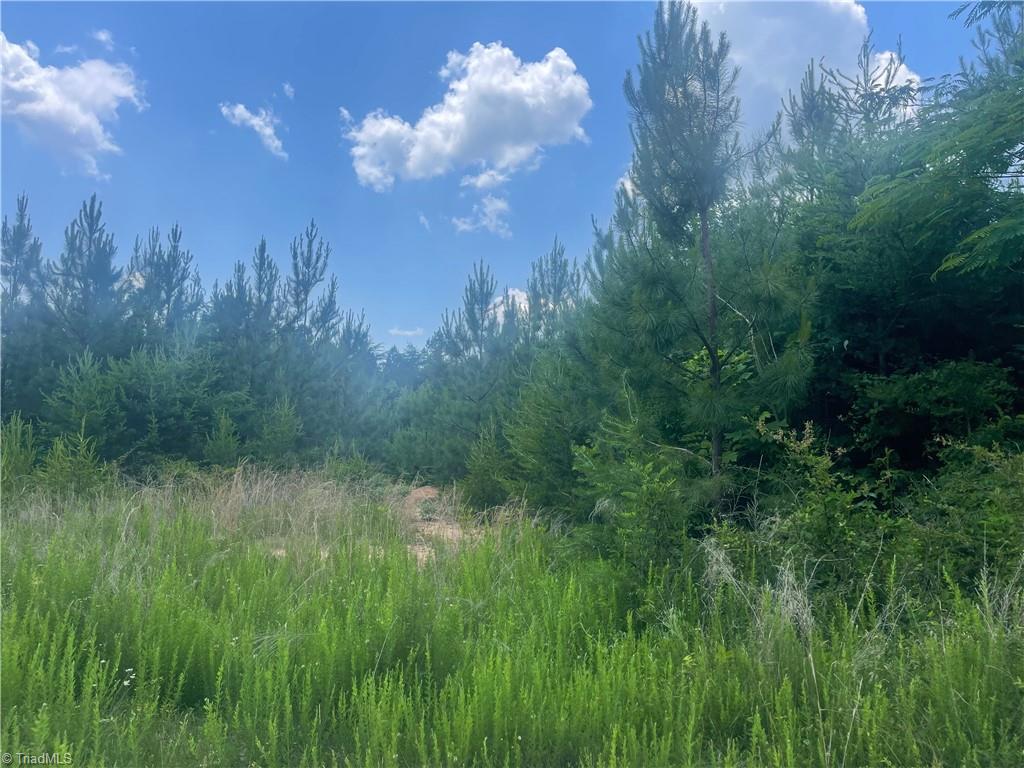 0 Bethesda Church Road Madison, NC 27025 - Photo 10 of 19