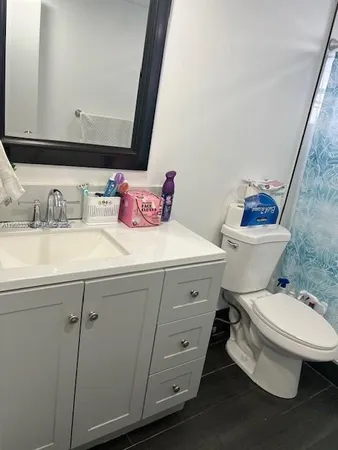 a bathroom with a sink a toilet and a mirror