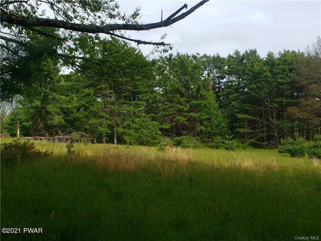 Mud Pond Road Highland Lake, NY 12743 - Photo 10 of 13