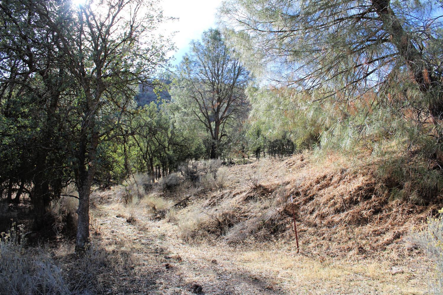 0 Caliente Creek Road Caliente, CA 93518 - Photo 11 of 17 Gallery Image 11