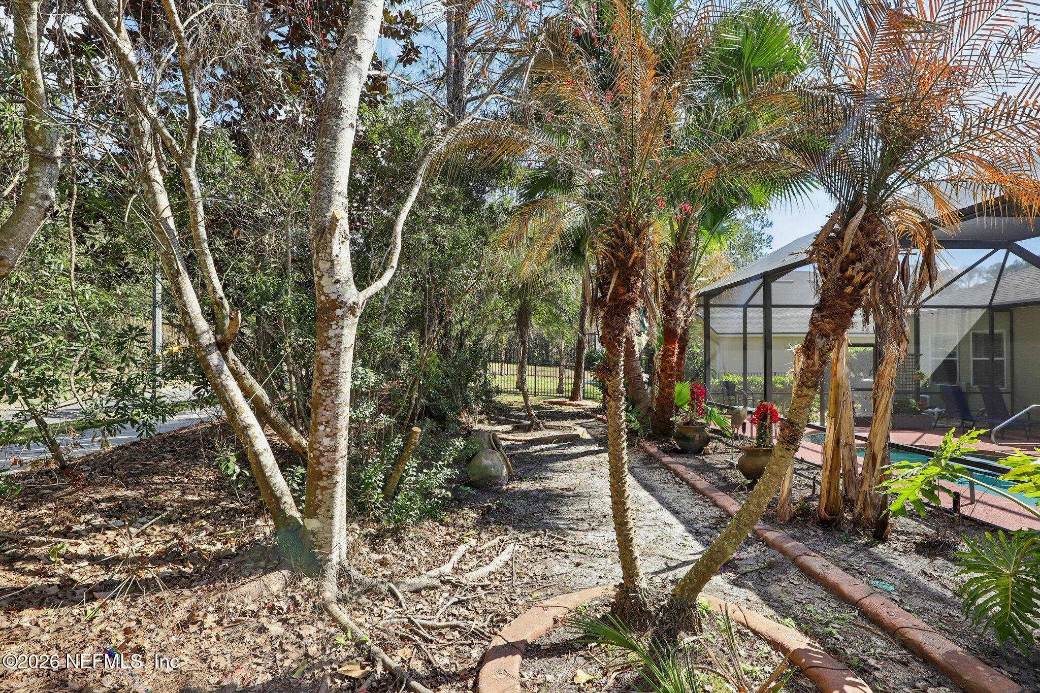 2430 Tall Cedars Road Fleming Island, FL 32003 - Photo 54 of 93 Backyard