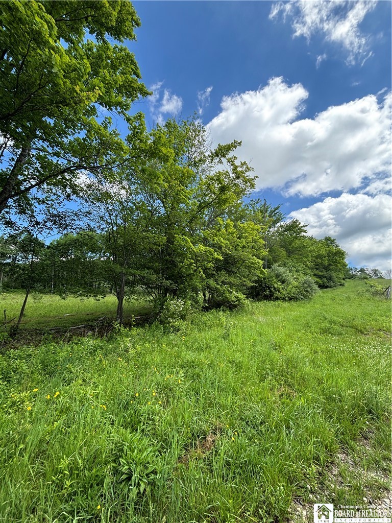 1471 Loomis Road Rexville, NY 14877 - Photo 40 of 50