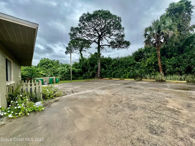 a view of backyard with potted plants and a large tree