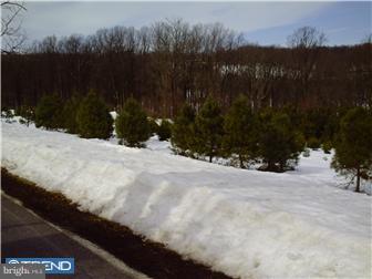 66 Conrad Road Fleetwood, PA 19522 - Photo 11 of 11 Gallery Image 11