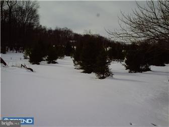 66 Conrad Road Fleetwood, PA 19522 - Photo 4 of 11 Gallery Image 4