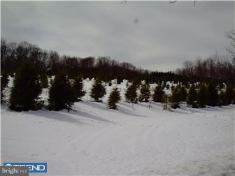 66 Conrad Road Fleetwood, PA 19522 - Photo 10 of 11 Gallery Image 10
