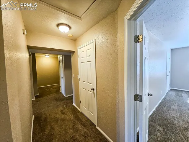 en empty room with windows and ceiling fan view