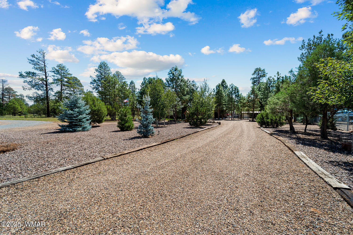 2046 Christmas Pine Road Overgaard, AZ 85933 - Photo 2 of 77