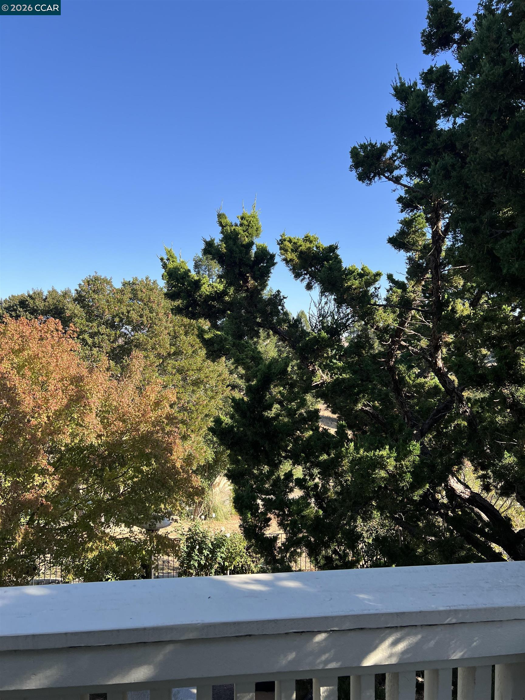 1312 Canyon Side Avenue San Ramon, CA 94582 - Photo 23 of 41 a view of a tree with a tree