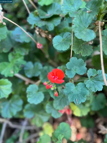 $5,000 | 1312 Canyon Side Avenue, San Ramon, CA 94582