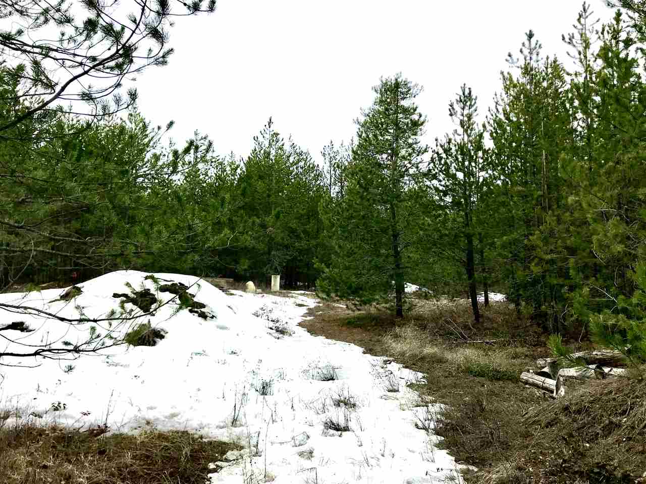 876 Telephone Road East Newport, WA 99156 - Photo 14 of 20