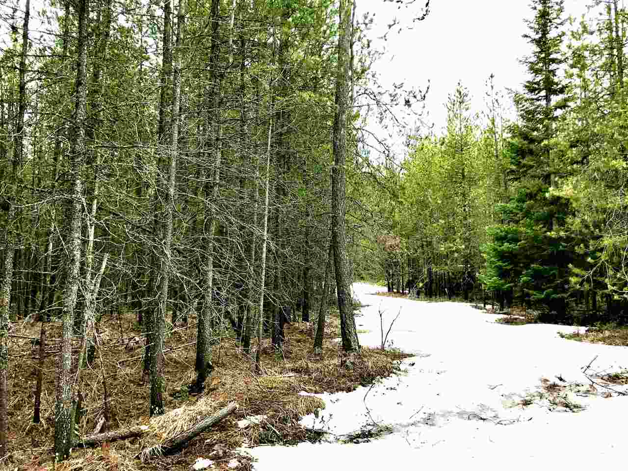 876 Telephone Road East Newport, WA 99156 - Photo 4 of 20