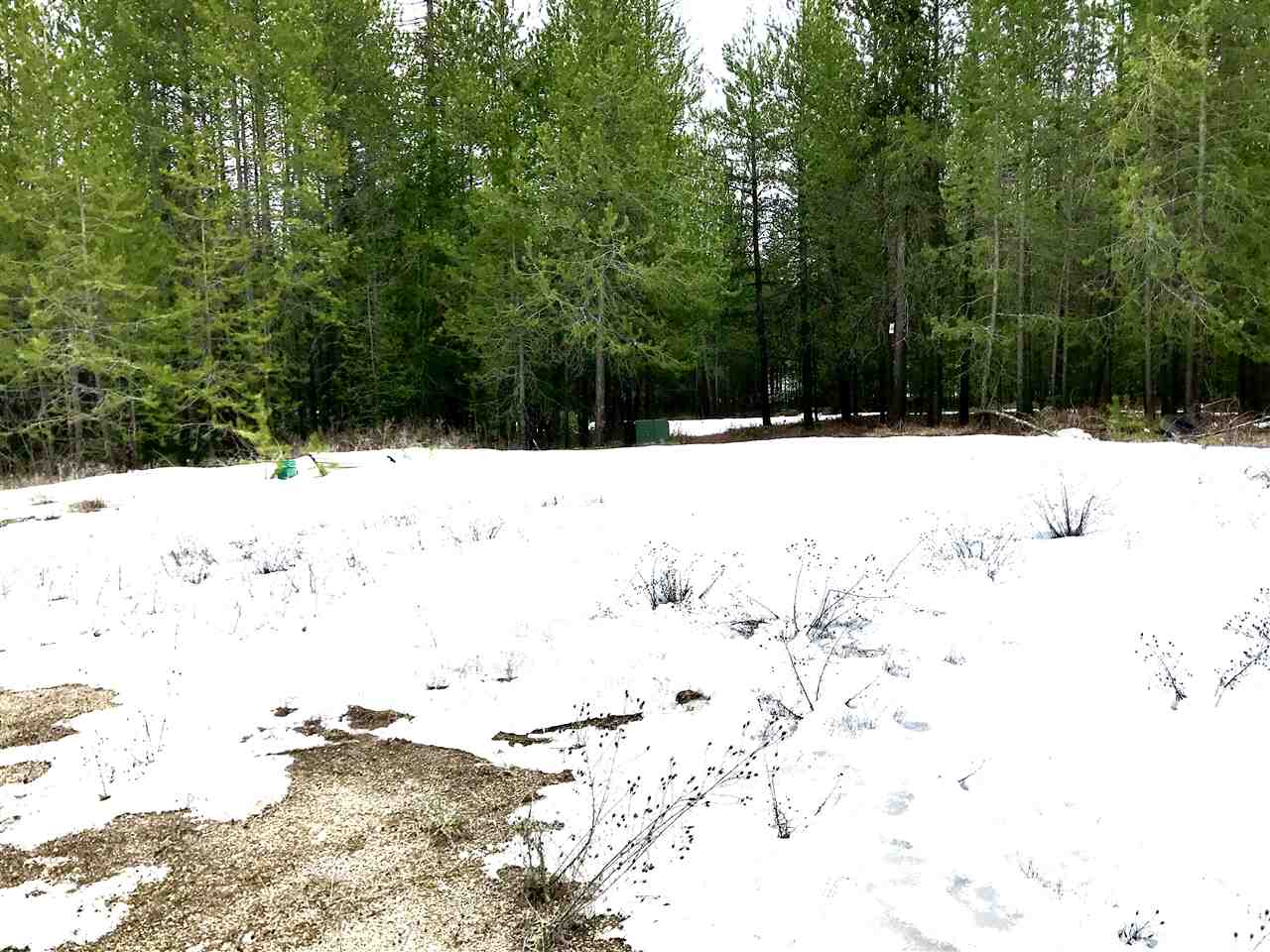 876 Telephone Road East Newport, WA 99156 - Photo 9 of 20