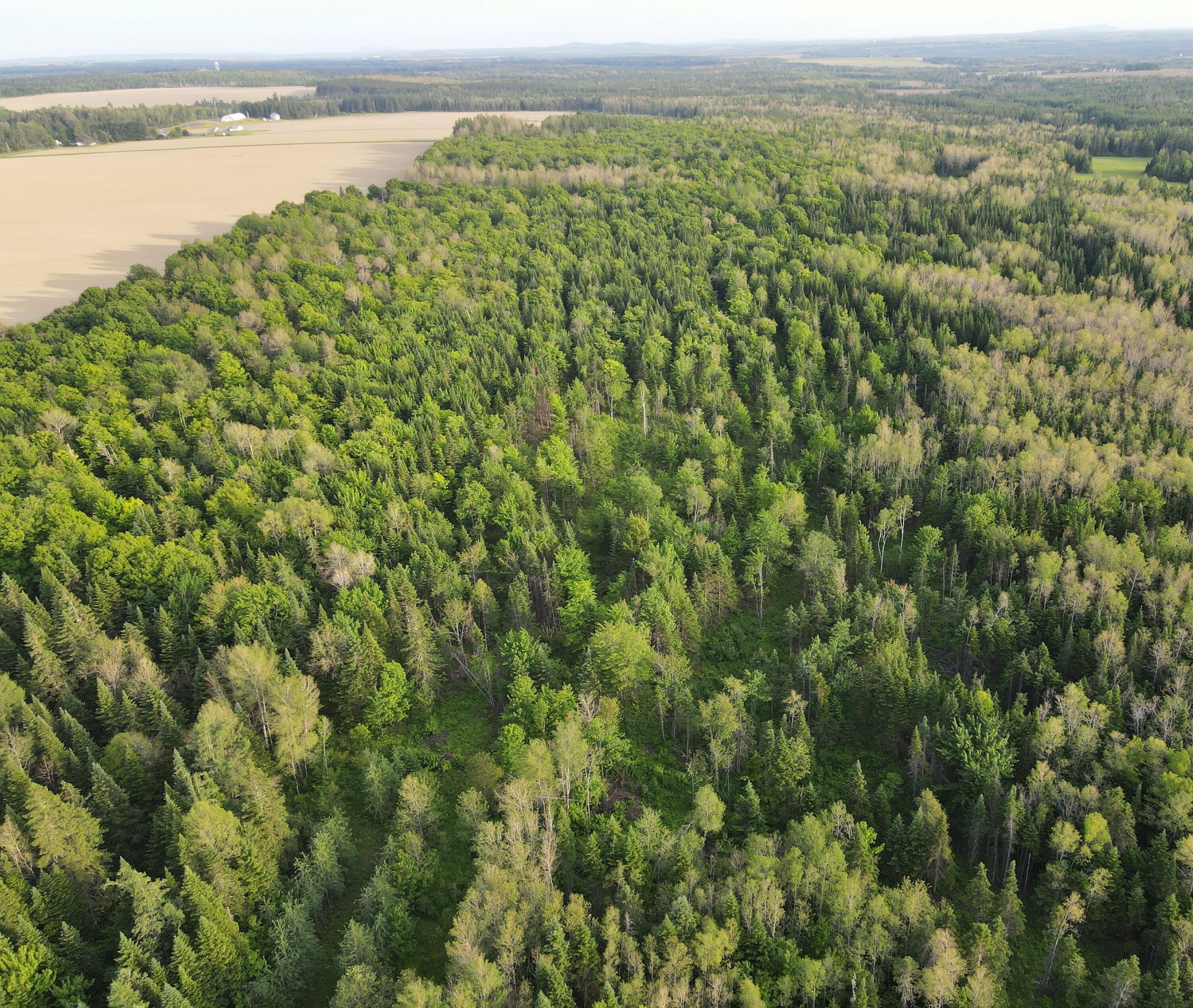 247 Haney Road Caribou, ME 04736 - Photo 9 of 22 dji_fly_20250616_190126_306_175015844037