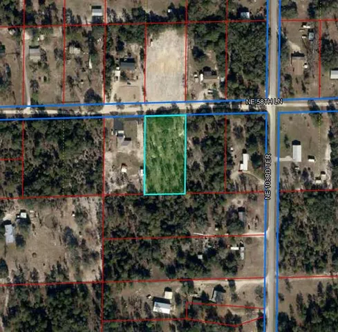 an aerial view of a house with a yard and large tree