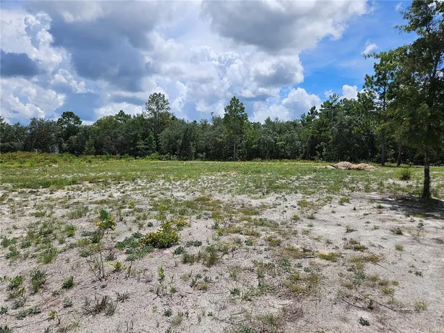 a view of outdoor space with field and trees