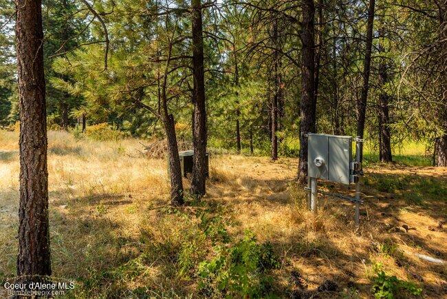 13534 South Ridgeview Drive Harrison, ID 83833 - Photo 27 of 70 029_bb193731-29_394