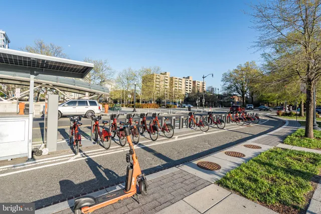a view of outdoor space with garden and lots of trees
