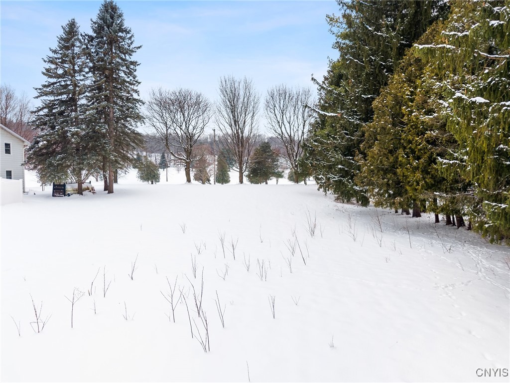 1077 Nottingham Road De Witt, NY 13078 - Photo 16 of 20
