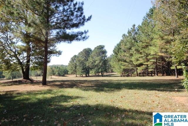 0 County Road 928, Unit 19 Delta, AL 36258 - Photo 35 of 43