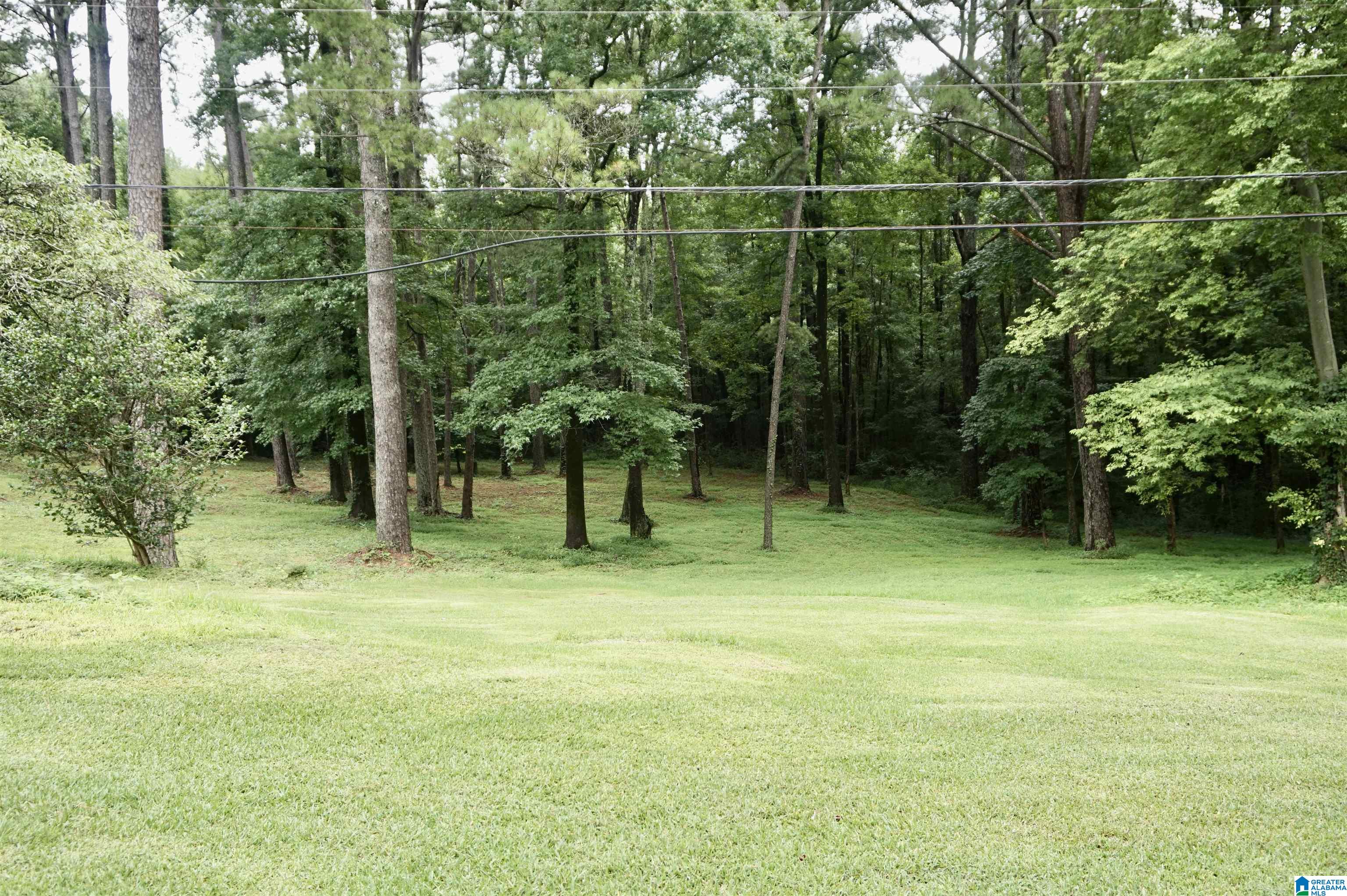 2240 Pawnee Village Road Birmingham, AL 35217 - Photo 65 of 68