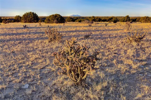 $1,224,000 | White Rock, Model, CO 81059