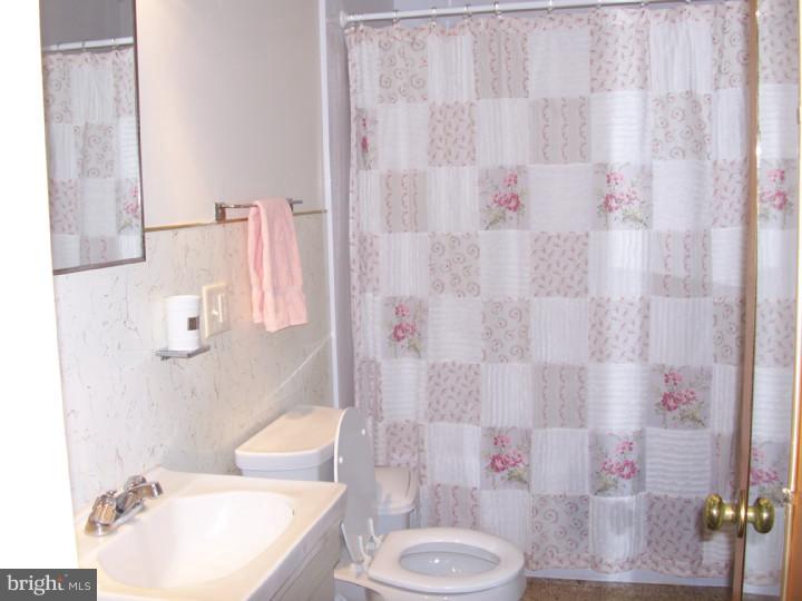 4928 Sandy Bend Road Marydel, DE 19964 - Photo 22 of 25 Master Bathroom