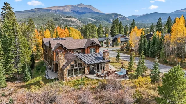 an aerial view of residential houses with outdoor space and trees