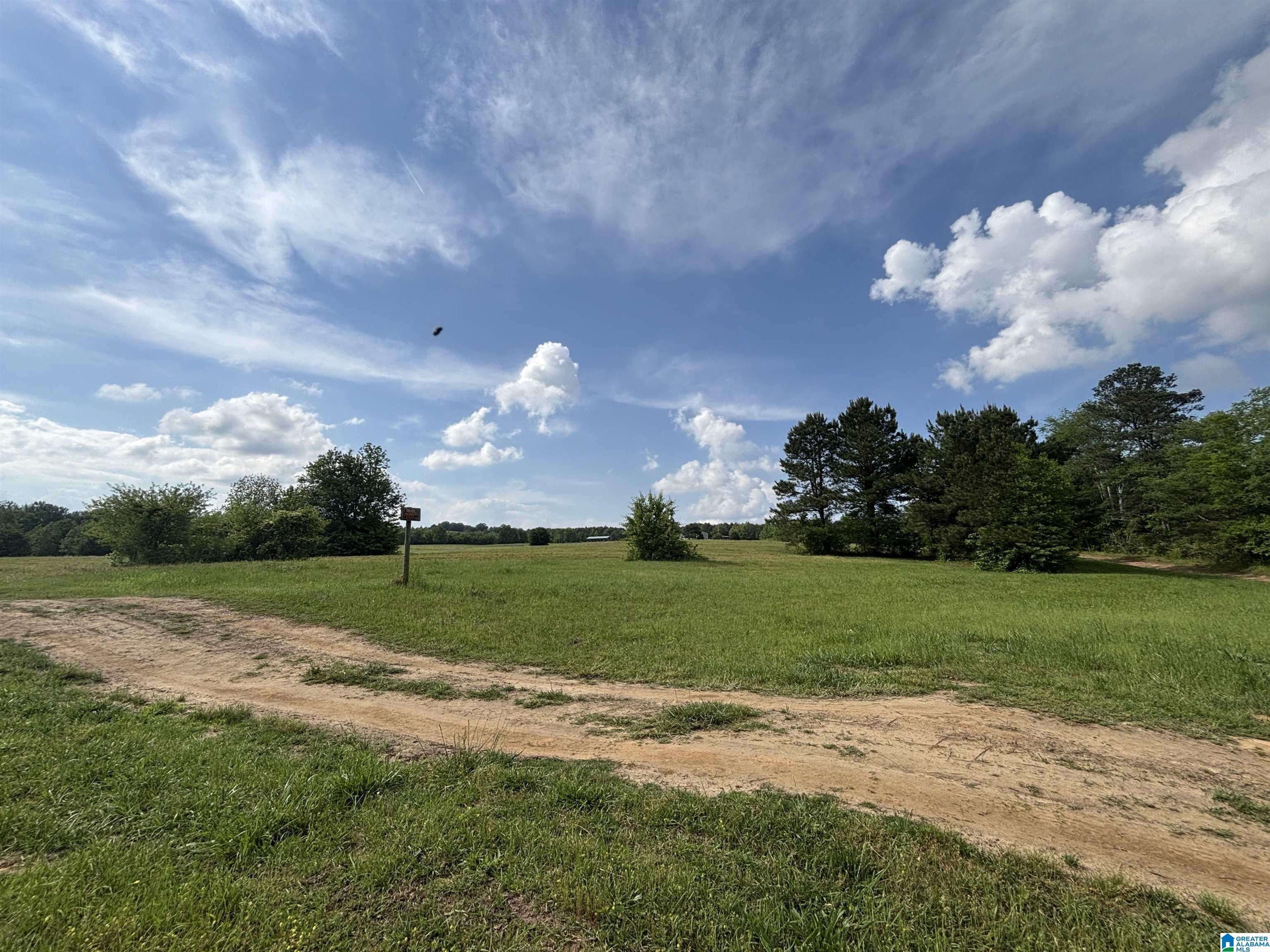 1525 Marvin Adcock Road Hayden, AL 35079 - Photo 5 of 23