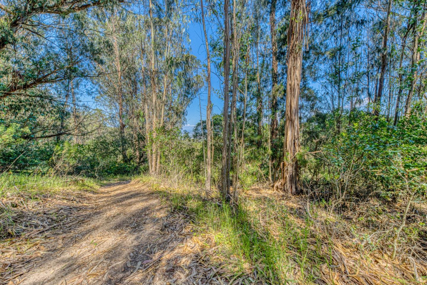 415 Carpenteria Road Aromas, CA 95004 - Photo 31 of 34