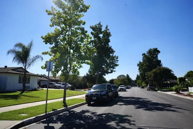 a side view of a garden with sitting area