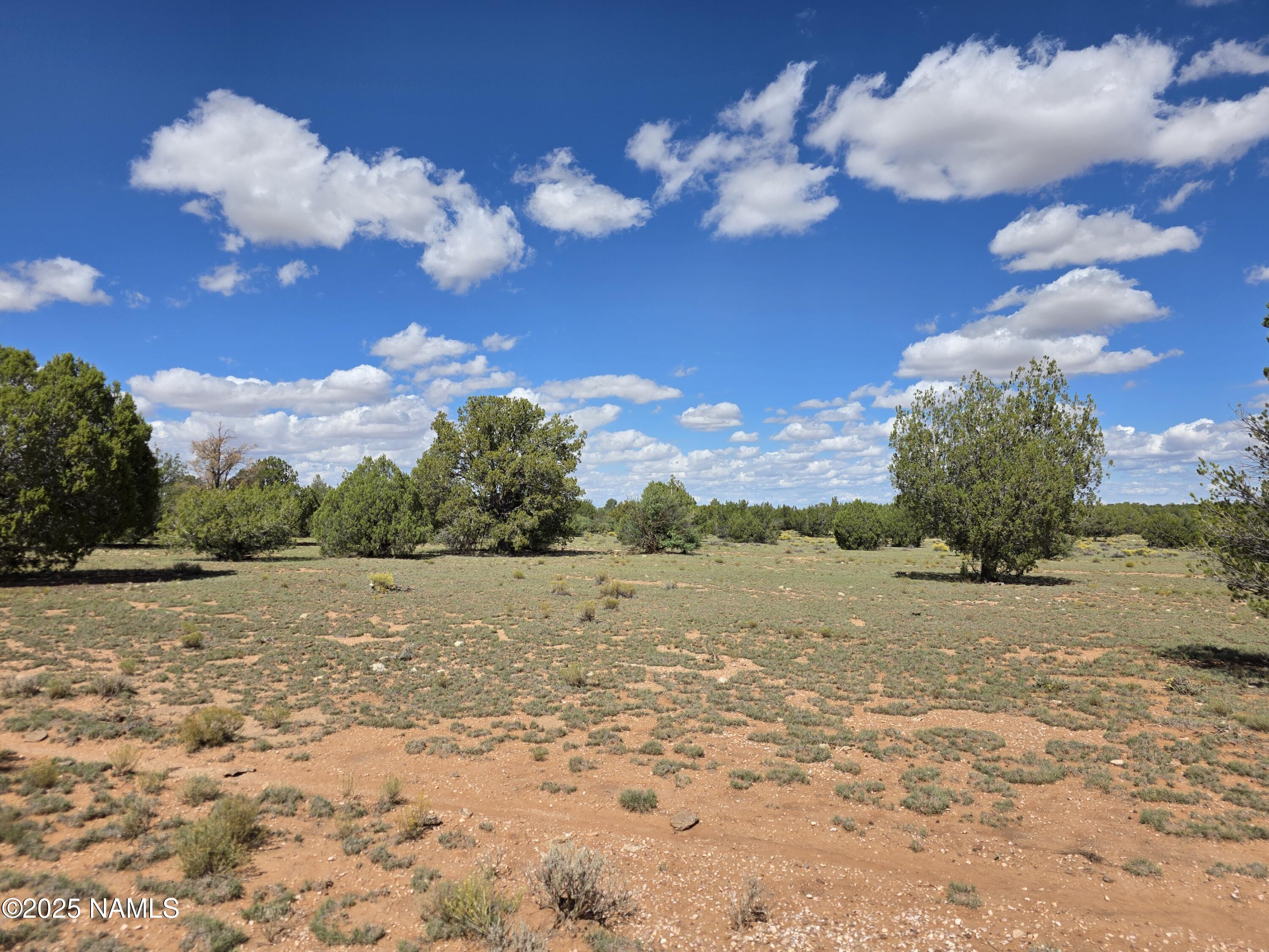 10422 West Red Bluff Road Williams, AZ 86046 - Photo 3 of 28 1000053471