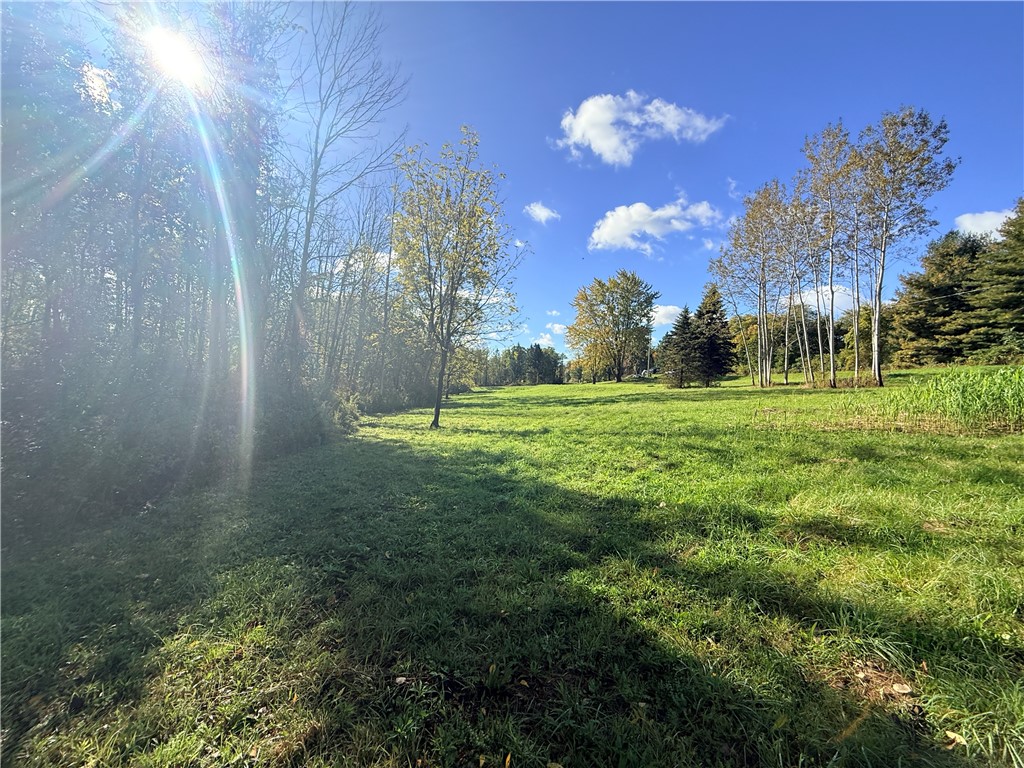 4048 Deneef Road Lyons, NY 14489 - Photo 10 of 23 Gallery Image 10