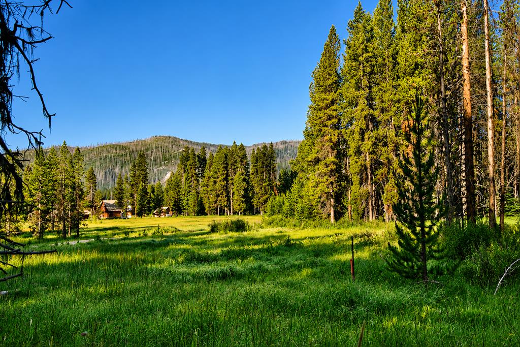 Tbd Tbd Secesh River Road, Unit 52 McCall, ID 83638 - Photo 3 of 18