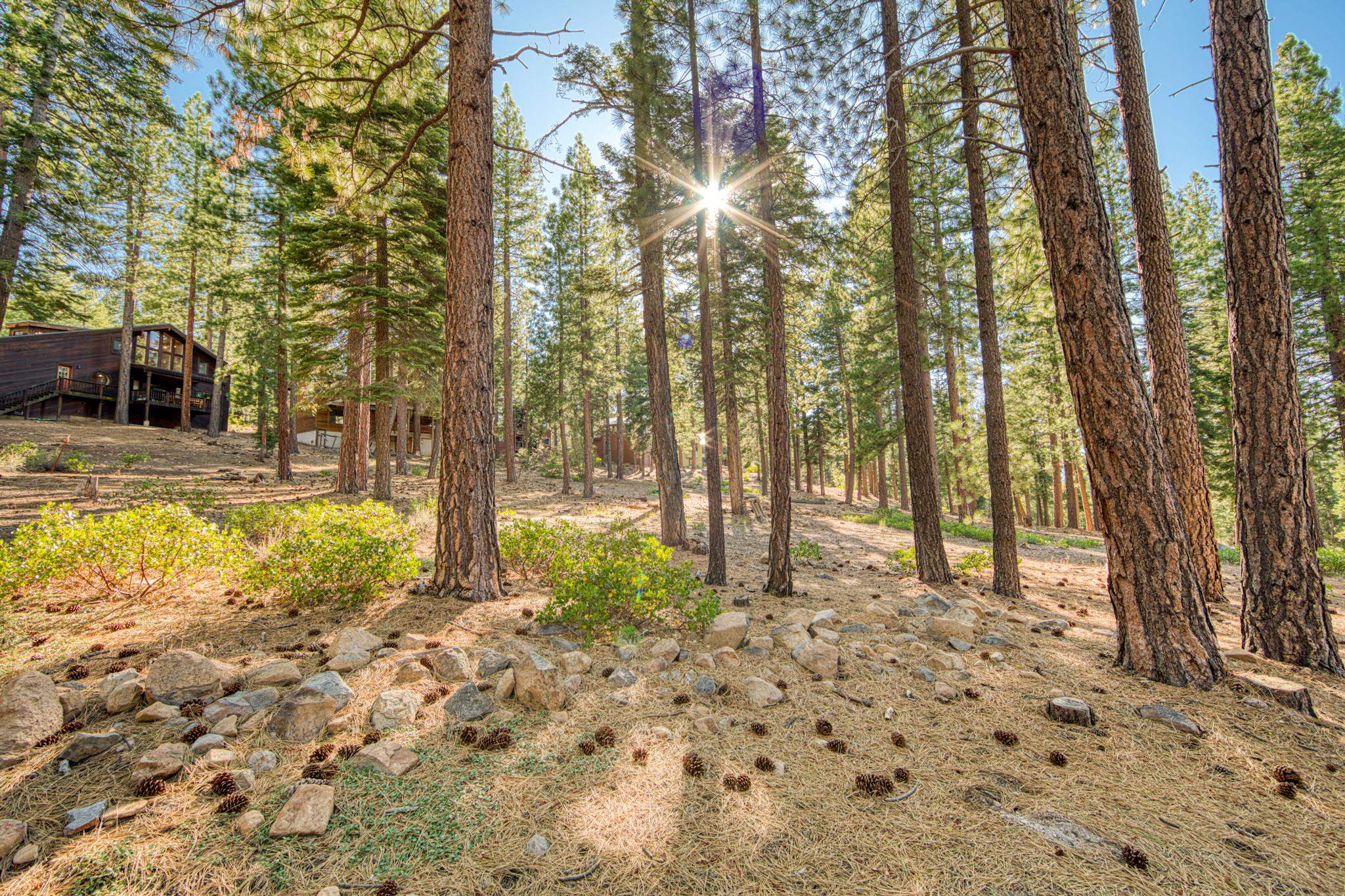1606 Deer Path Truckee, CA 96161 - Photo 2 of 23