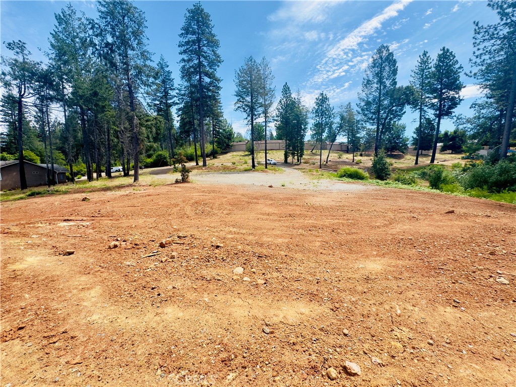 1400 Bader Mine Road Paradise, CA 95969 - Photo 7 of 16
