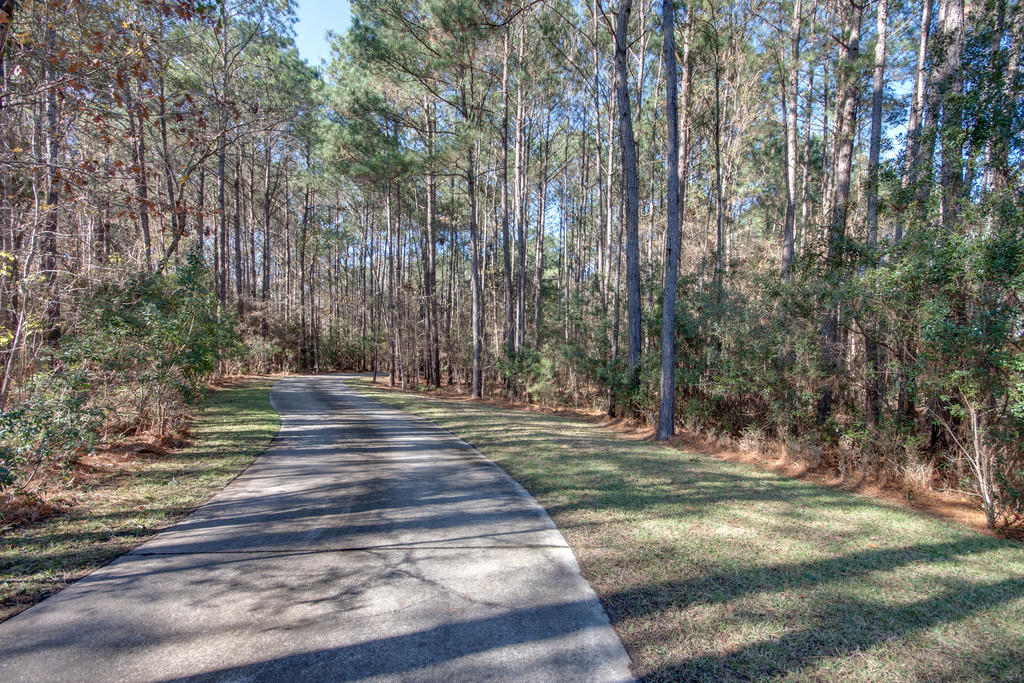 530 Commonwealth Road Mount Pleasant, SC 29466 - Photo 50 of 51 driveway