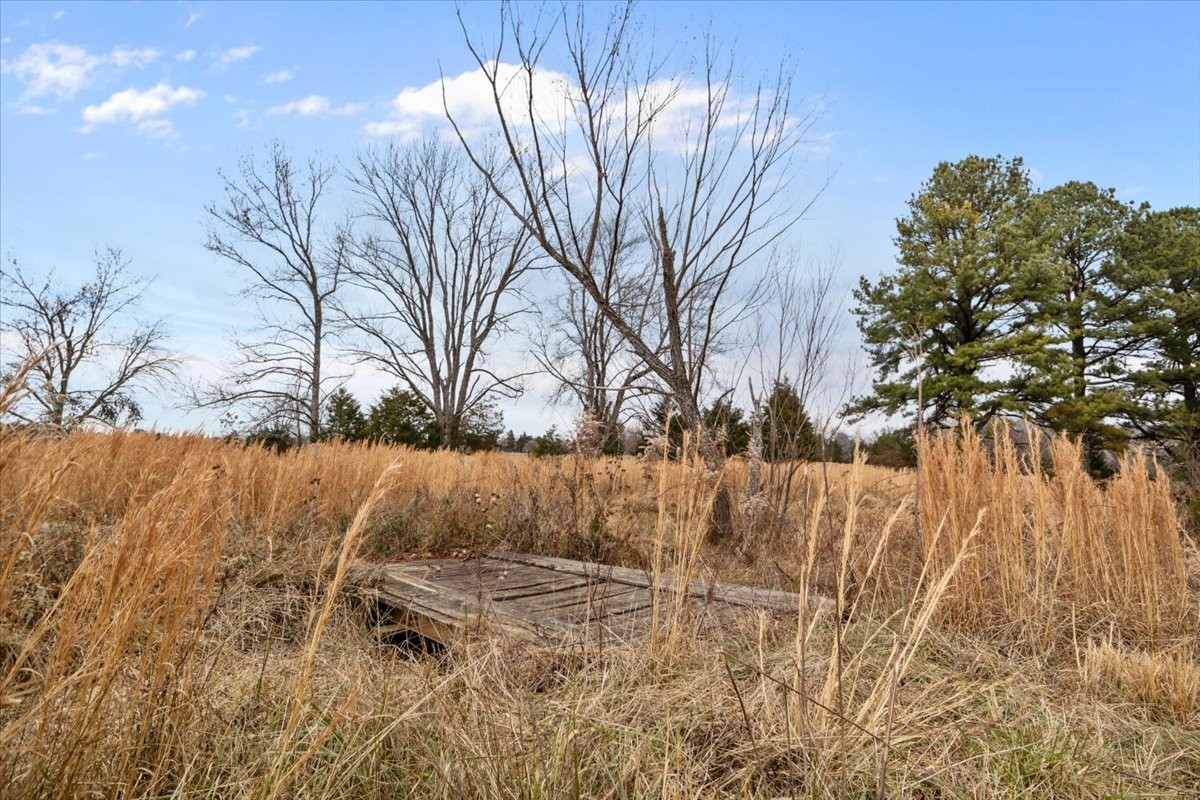 0 Polly Willey Road Dickson, TN 37055 - Photo 14 of 29