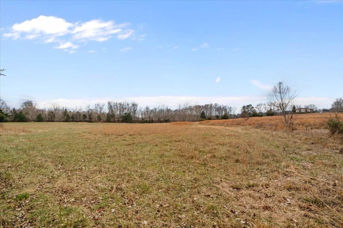 0 Polly Willey Road Dickson, TN 37055 - Photo 18 of 29