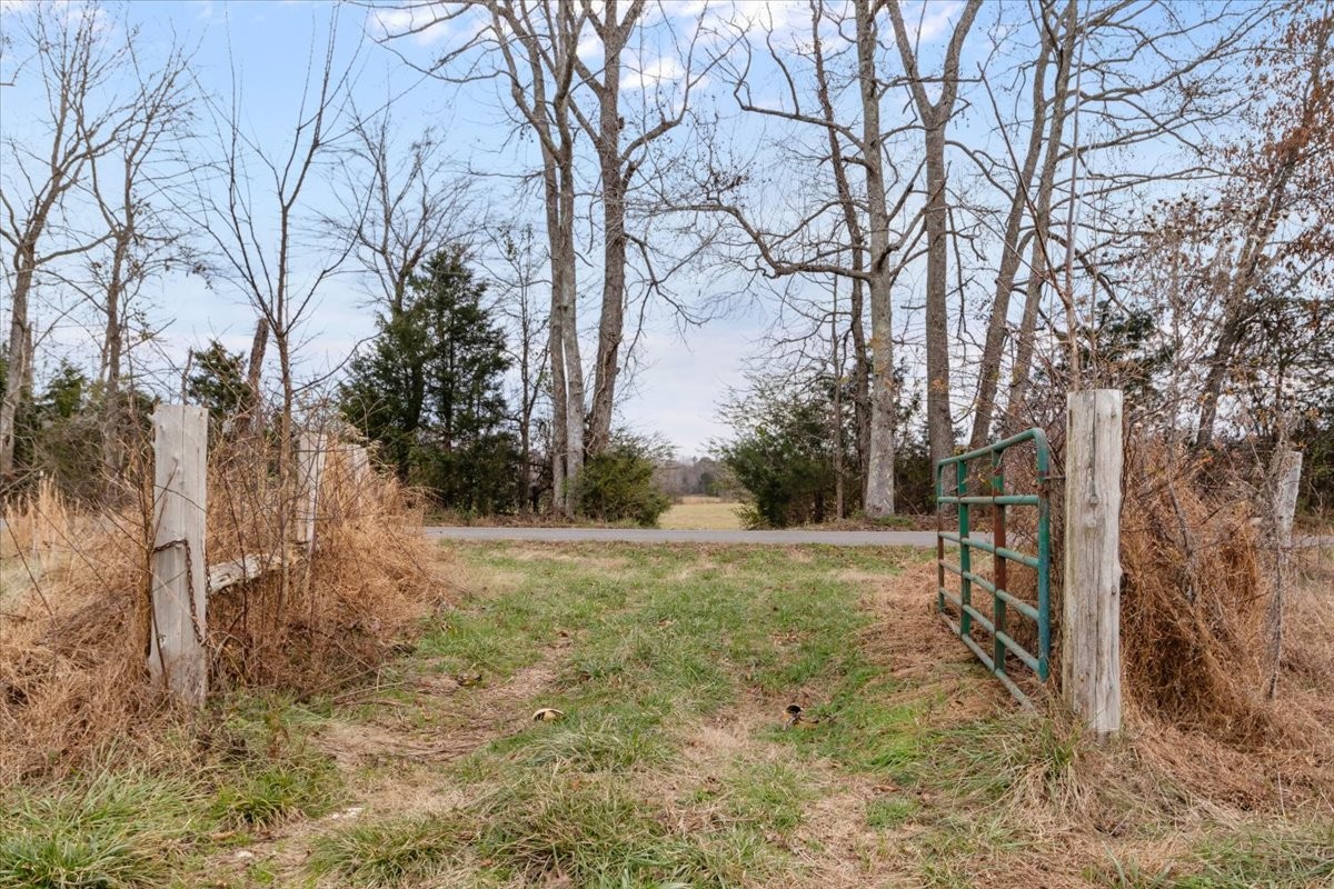 0 Polly Willey Road Dickson, TN 37055 - Photo 5 of 29