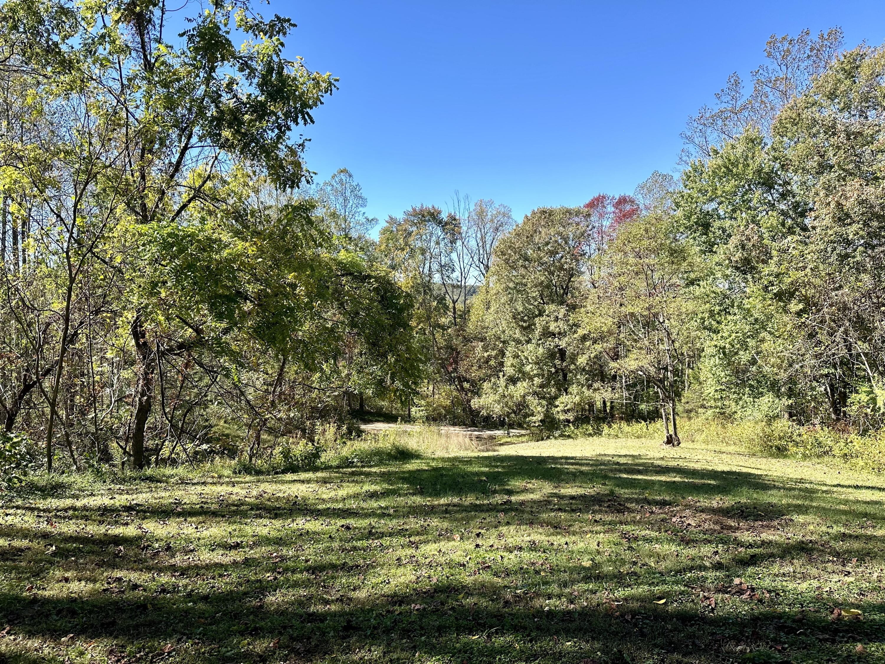 7870 Sontag Road Rocky Mount, VA 24151 - Photo 21 of 29 backyard