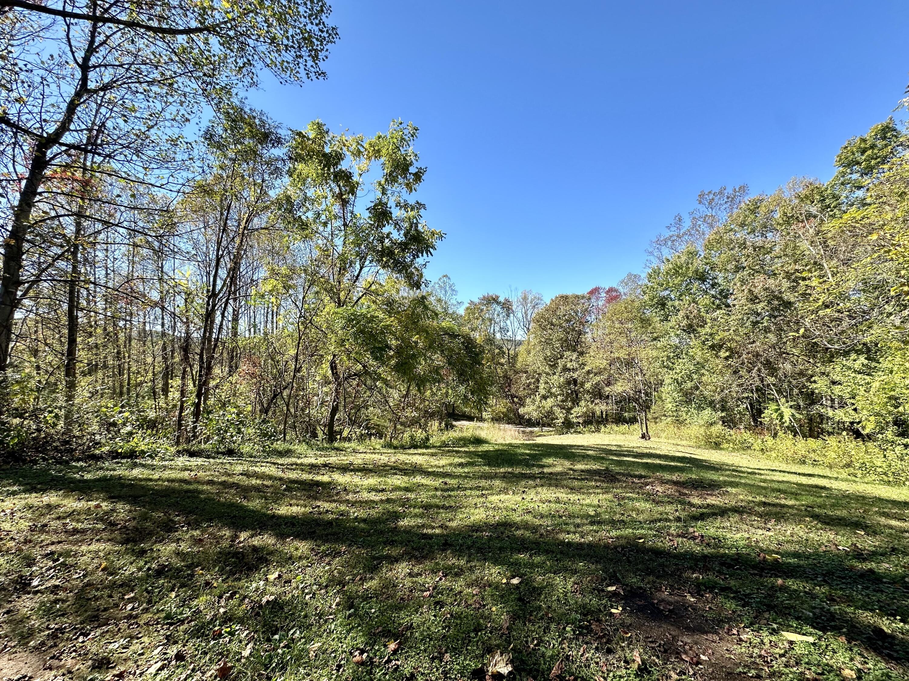 7870 Sontag Road Rocky Mount, VA 24151 - Photo 22 of 29 backyard 2