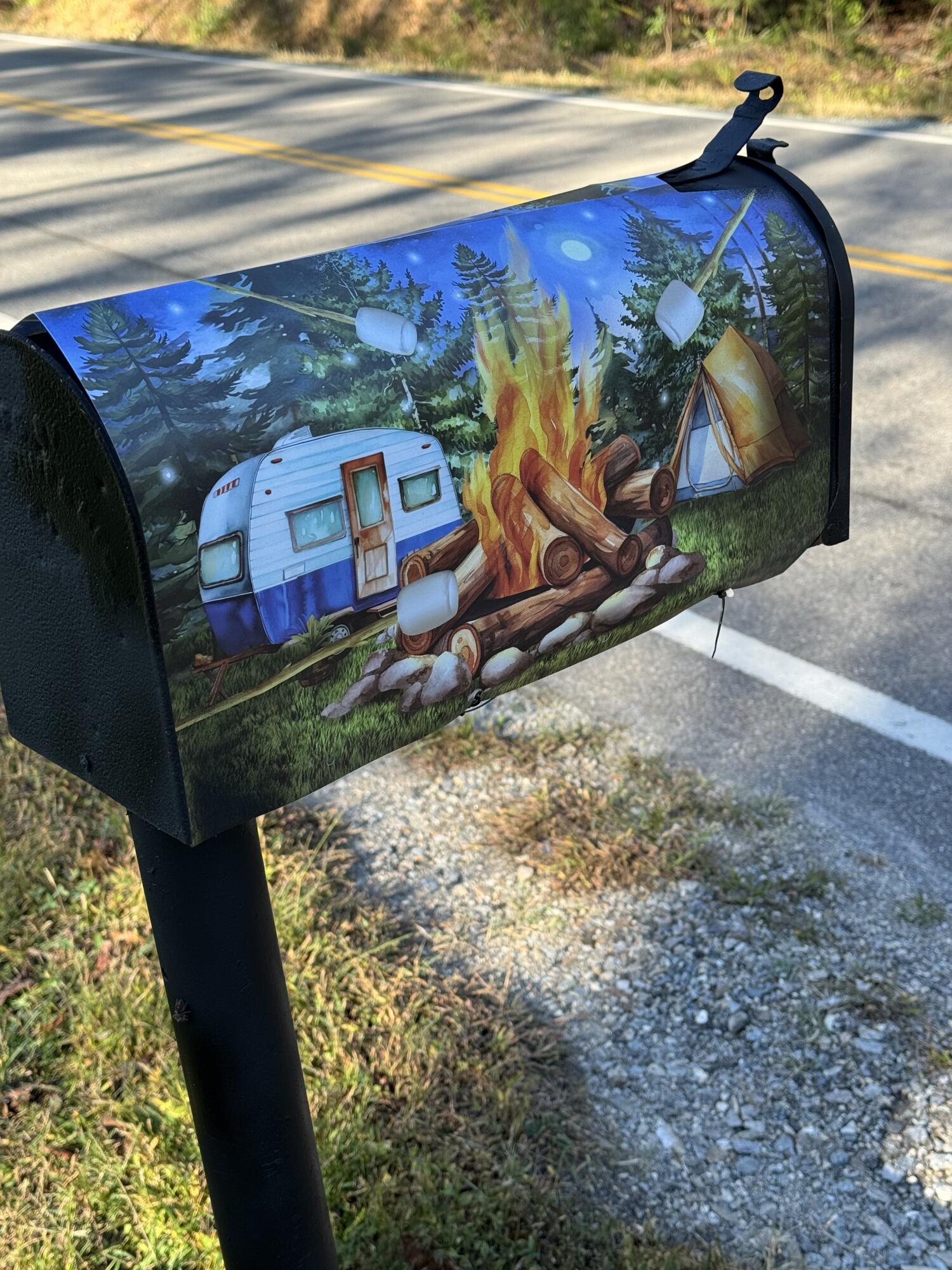 7870 Sontag Road Rocky Mount, VA 24151 - Photo 25 of 29 mailbox