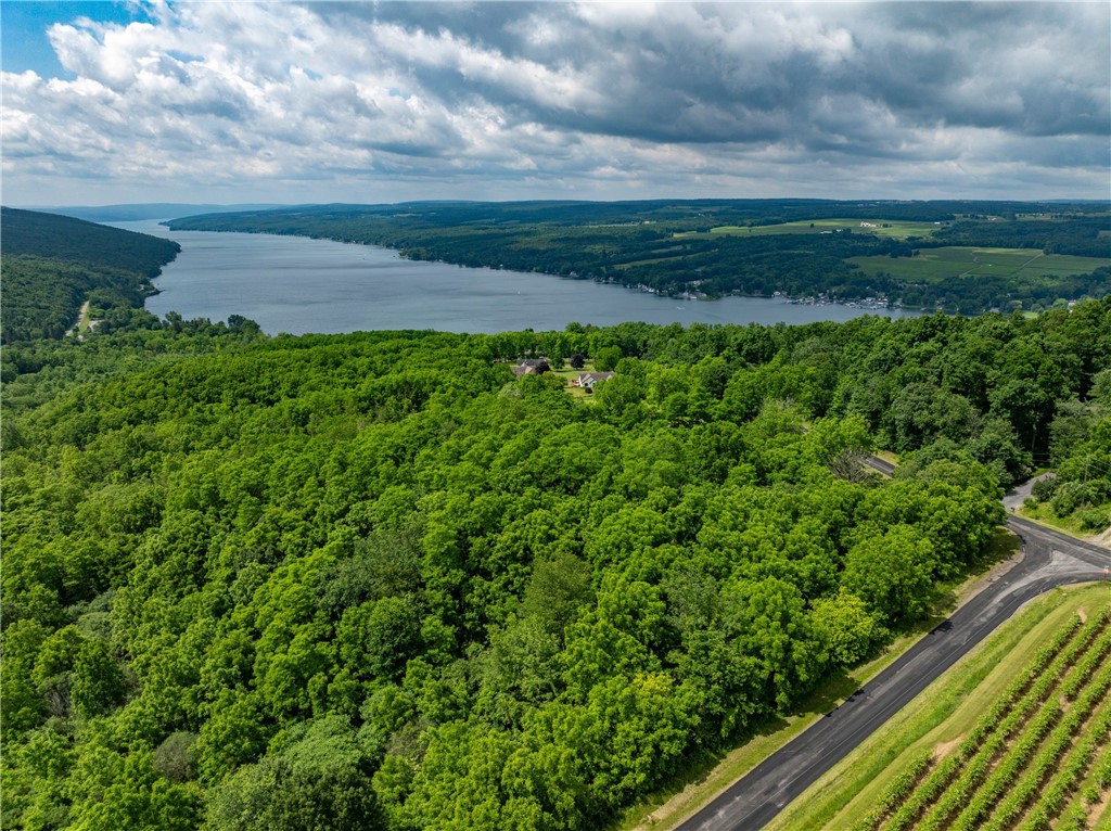 0 Esperanza Road Keuka Park, NY 14478 - Photo 5 of 17