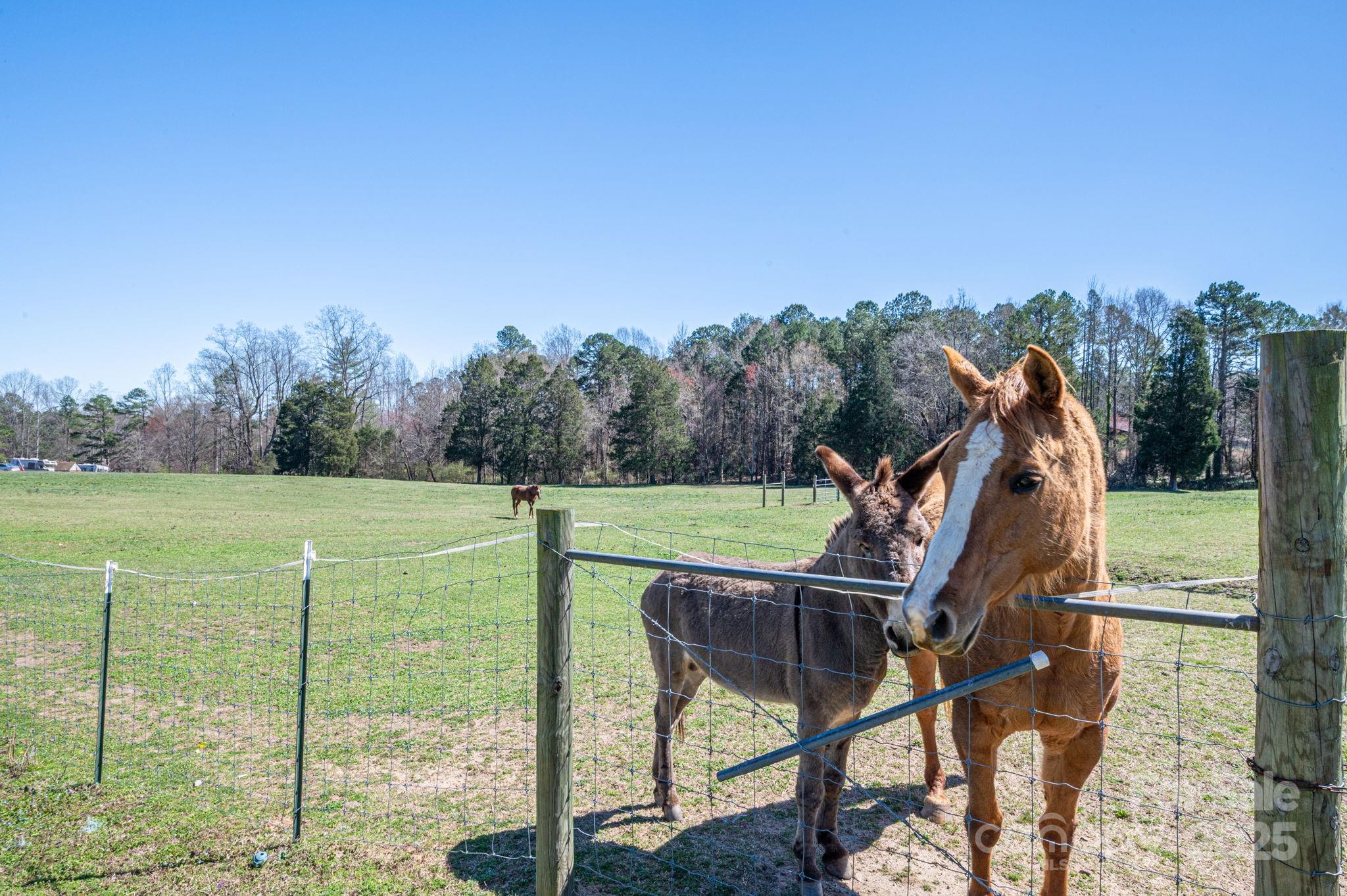 114 T R Foster Road Kings Mountain, NC 28086 - Photo 14 of 19 Gallery Image 14